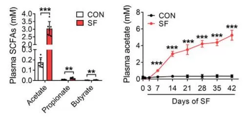 Acetate Enables Metabolic Fitness And Cognitive Performance During Sleep Disruption figure 2